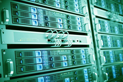 MongoDB 賦能Web應(yīng)用的可擴展高性能數(shù)據(jù)存儲解決方案